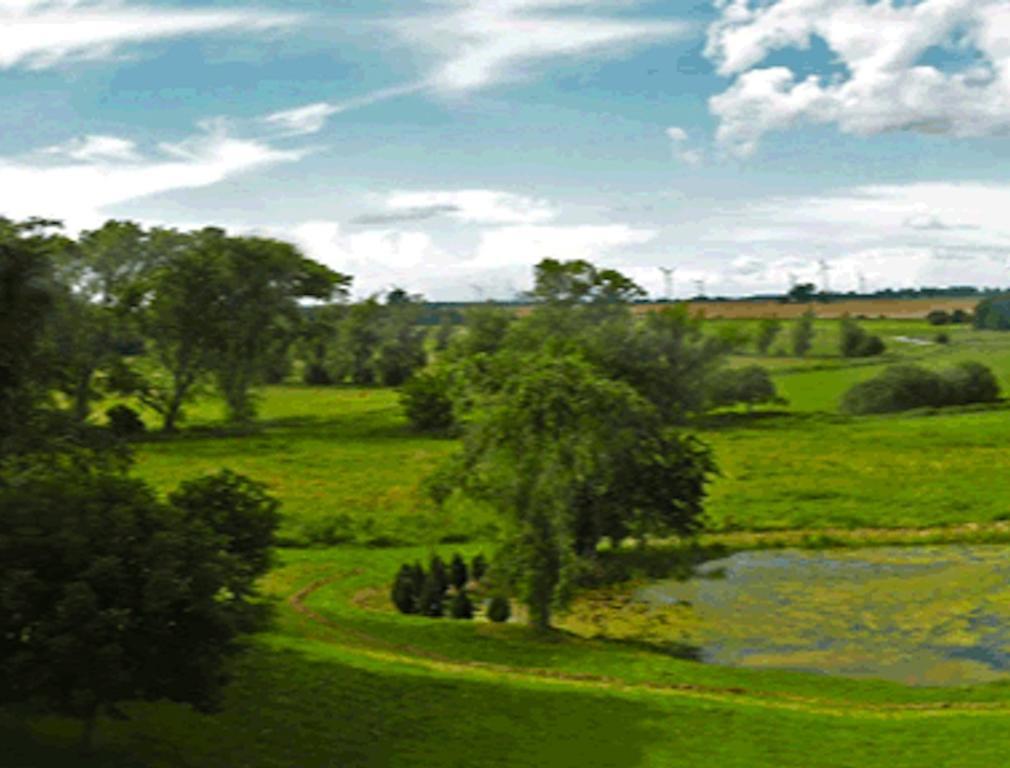 Landhotel Gut Zarrentin Gransebieth Zimmer foto